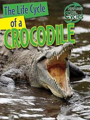 cover image of The Life Cycle of a Crocodile